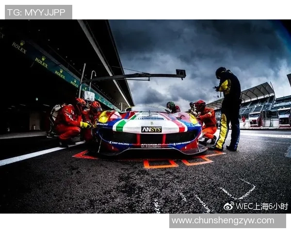 北京排球队在杯赛中的耐力与韧性展现全场精彩表现的深度点评